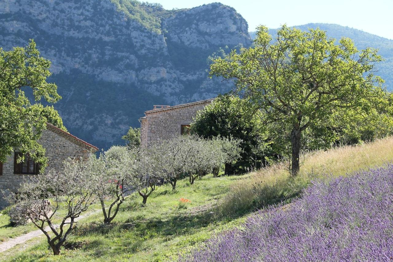 Entre Terre Et Ciel Bed & Breakfast Remuzat Exterior photo